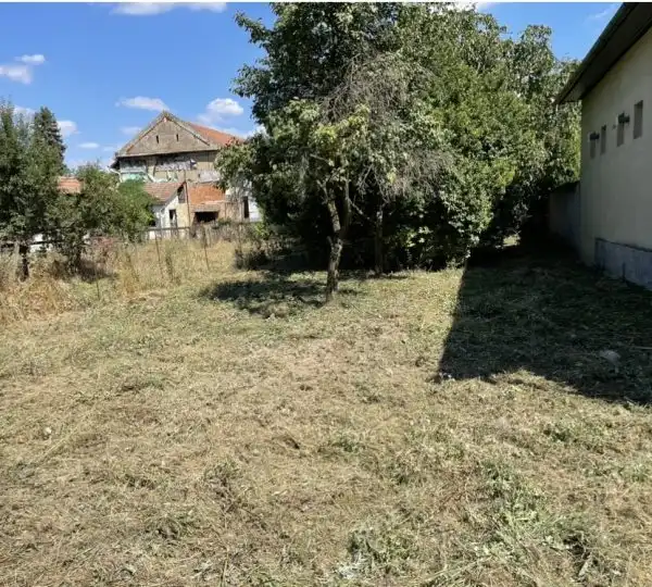 Fűnyírás / Fűvágás / Magasgaz vágása 1