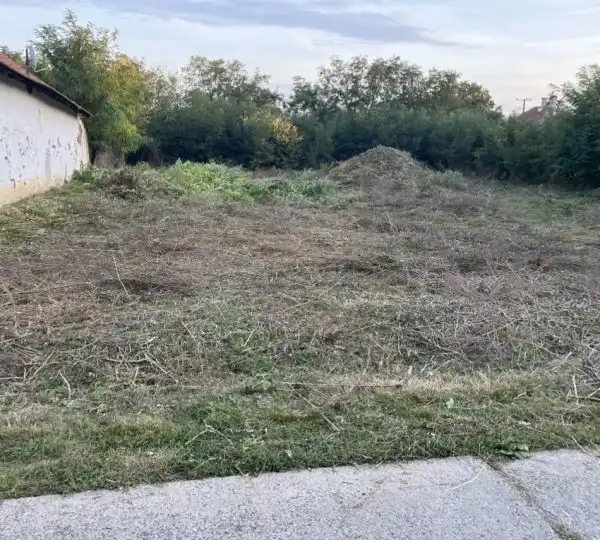 Fűnyírás / Fűvágás / Magasgaz vágása 6